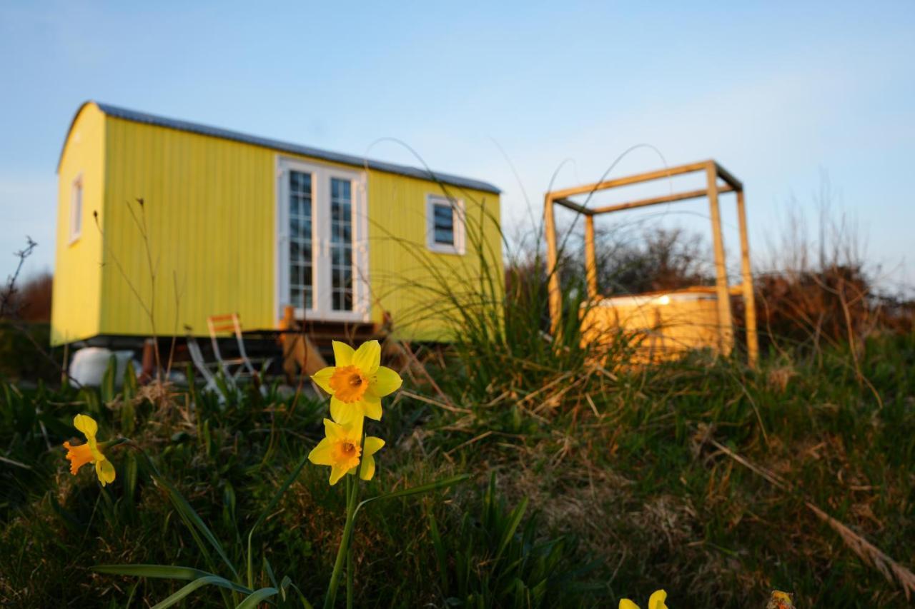 Primrose Vila Tenby Exterior foto